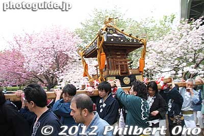 Still carrying around the mikoshi.
Keywords: Tokyo Adachi-ku Toshi Nogyo koen Park goshiki sakura cherry blossoms matsuri festival flowers mikoshi portable shrine
