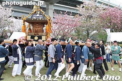 Keywords: Tokyo Adachi-ku Toshi Nogyo koen Park goshiki sakura cherry blossoms matsuri festival flowers mikoshi portable shrine