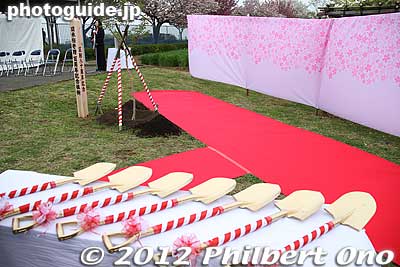 Sapling from the Reagan Sakura ready to be planted. [url=http://photoguide.jp/pix/thumbnails.php?album=884]Click here to see the Reagan Sakura photos.[/url]
Keywords: Tokyo Adachi-ku Toshi Nogyo koen Park sakura cherry blossoms centennial flowers us-japan