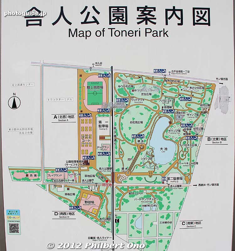 Map of Toneru Park. The park is split into two by the Nippori-Toneri Liner line.
Keywords: tokyo adachi-ku toneri park sakura cherry blossoms flowers matsuri festival