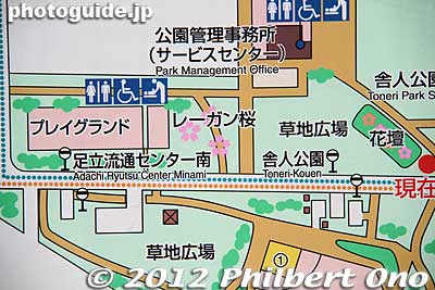 Location (middle of this map) of the Reagan Sakura cherry tree.
Keywords: tokyo adachi-ku toneri park sakura cherry blossoms flowers matsuri festival
