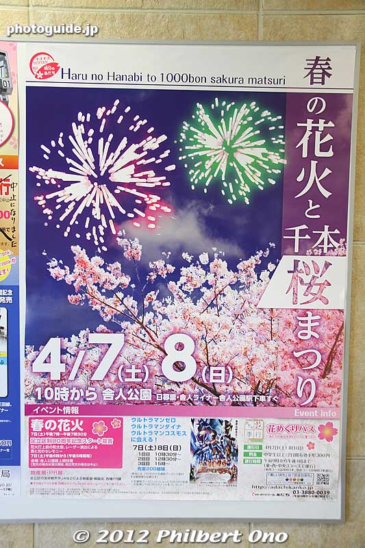 Poster for the Toneri Park cherry blossom festival highlighted by fireworks at night.
