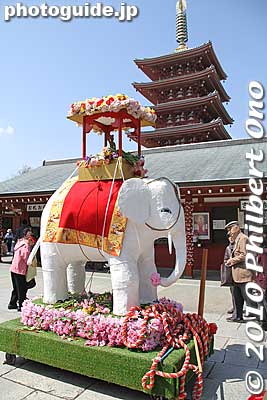 White elephant and the pagoda at Sensoji temple, Asakusa on Buddha's birthday called Hanamatsuri.
Keywords: tokyo taito-ku asakusa hana matsuri4 festival buddha birthday 