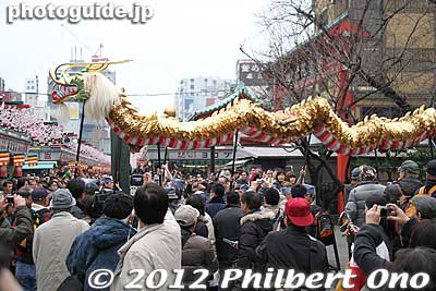 Golden Dragon makes its way down Nakamise arcade.
Keywords: tokyo taito-ku asakusa sensoji sanja matsuri festival