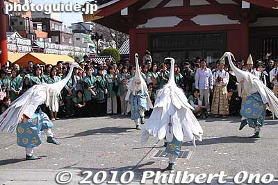 It looks like they are feeding.
Keywords: tokyo taito-ku asakusa shirasagi no mai white heron dancers festival matsuri 