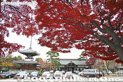 Tahoto Pagoda and Gekkoden Hall at Gokokuji temple in Bunkyo-ku, Tokyo
Keywords: tokyo bunkyo-ku ward shingon buddhist temple pagoda fromshiga fall leaves maple autumn
