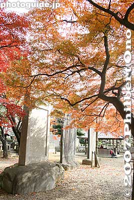 Keywords: tokyo bunkyo-ku ward shingon buddhist temple autumn fall leaves foliage