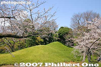 Shorozan hill 小廬山
Keywords: tokyo bunkyo-ku ward koishikawa korakuen japanese garden weeping cherry tree sakura blossoms flower