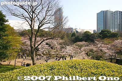 Keywords: tokyo bunkyo-ku ward koishikawa korakuen japanese garden