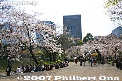 Picnic area
Keywords: tokyo bunkyo-ku ward koishikawa korakuen japanese garden pond sakura cherry blossoms flower