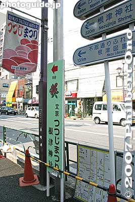 On the street, just follow the signs to Nezu Shrine. Only a few minutes walk.
Keywords: tokyo bunkyo-ku nezu jinja shrine azaleas tsutsuji flowers matsuri festival