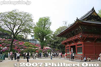 Azalea Garden and Nezu Shrine gate 楼門（国指定重文）
Keywords: tokyo bunkyo-ku nezu jinja shrine azaleas tsutsuji flowers matsuri festival