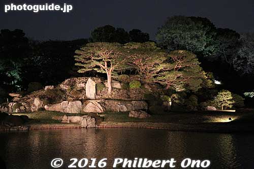 They also light up the pine trees in spring, similar to autumn.
Keywords: tokyo bunkyo-ku ward rikugien japanese garden weeping cherry blossoms tree sakura night