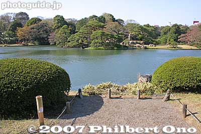 Azalea bushes and pond
Keywords: tokyo bunkyo-ku ward rikugien garden matsu pine tree