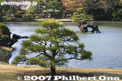 Matsu
Keywords: tokyo bunkyo-ku ward rikugien garden matsu pine tree pond