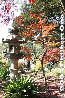 The garden is also colorful in autumn.
Keywords: tokyo bunkyo-ku ward rikugien japanese garden fall autumn leaves foliage
