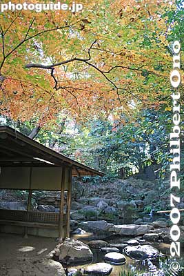 Keywords: tokyo bunkyo-ku ward rikugien japanese garden fall autumn leaves foliage