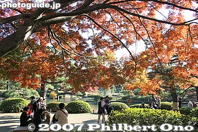 Keywords: tokyo bunkyo-ku ward rikugien japanese garden fall autumn leaves foliage