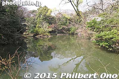 Sanshiro Pond and surrounding garden was part of the Maeda Clan's estate. 三四郎池
Keywords: tokyo bunkyo-ku university hongo campus
