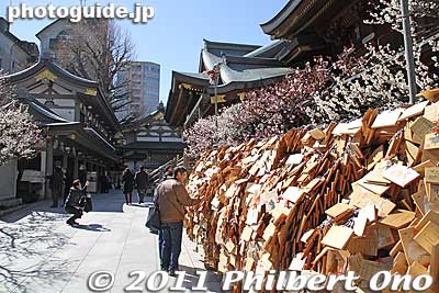 Keywords: tokyo bunkyo-ku ward yushima tenjin tenmangu shinto shrine ume matsuri plum blossoms flowers festival 