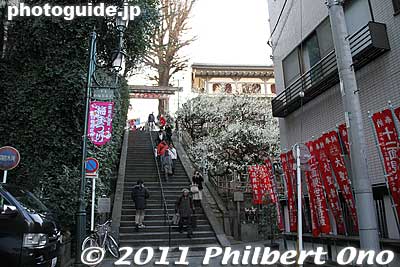 Otoko-zaka steps.
Keywords: tokyo bunkyo-ku ward yushima tenjin tenmangu shinto shrine ume matsuri plum blossoms flowers festival 