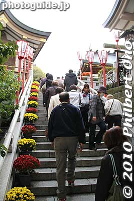 In 2010, Yushima Tenjin Shrine's 32nd Chrysanthemum Festival (Kiku Matsuri) was held from Nov. 1 to 23. Free admission from 6 am until dark.
Keywords: tokyo bunkyo-ku ward yushima tenjin tenmangu shinto shrine kiku matsuri chrysanthemum flowers festival 