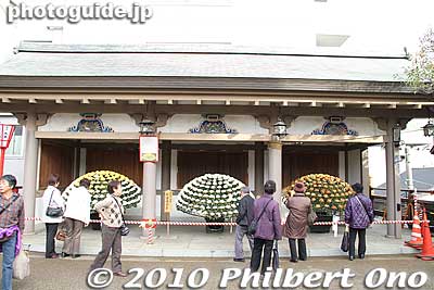 At the top of the steps are structures housing elaborate chrysanthemum displays. 
Keywords: tokyo bunkyo-ku ward yushima tenjin tenmangu shinto shrine kiku matsuri chrysanthemum flowers festival 