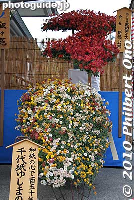 Chrysanthemums displayed in the kengai-zukuri style. The wooden plaque has the name of the sponsoring company. 懸崖作り
Keywords: tokyo bunkyo-ku ward yushima tenjin tenmangu shinto shrine kiku matsuri chrysanthemum flowers festival 