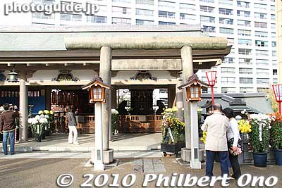 A small shrine called Togakushi Shrine.
Keywords: tokyo bunkyo-ku ward yushima tenjin tenmangu shinto shrine kiku matsuri chrysanthemum flowers festival 
