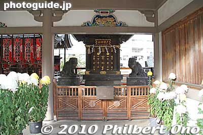 Togakushi Shrine.
Keywords: tokyo bunkyo-ku ward yushima tenjin tenmangu shinto shrine kiku matsuri chrysanthemum flowers festival 