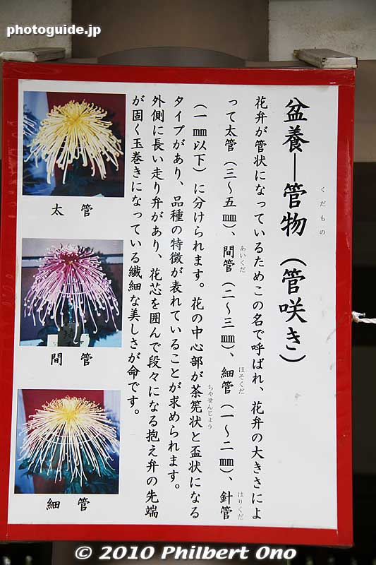 Signs explaining the species are also provided. Nothing in English though.
Keywords: tokyo bunkyo-ku ward yushima tenjin tenmangu shinto shrine kiku matsuri chrysanthemum flowers festival 
