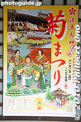 Yushima Tenjin Chrysanthemum Festival poster
Keywords: tokyo bunkyo-ku ward yushima tenjin tenmangu shinto shrine kiku matsuri chrysanthemum flowers festival 
