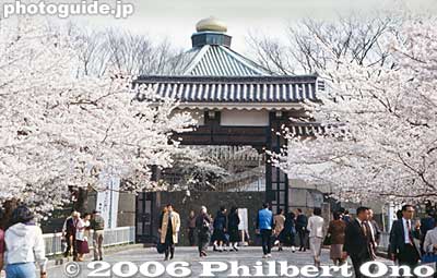 Roof of Budokan
Keywords: tokyo chiyoda-ku chidorigafuchi cherry blossoms sakura budokan