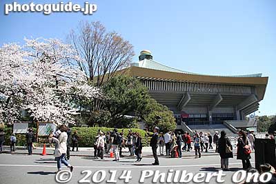 Budokan in spring.
Keywords: tokyo chiyoda-ku chidorigafuchi cherry blossoms sakura