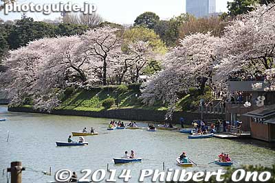 Rowboat dock on right toward the end of Chidorigafuchi Moat.
Keywords: tokyo chiyoda-ku chidorigafuchi cherry blossoms sakura