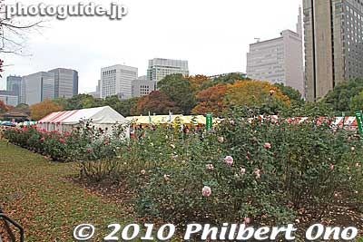 This event space is actually another garden in Hibiya Park lined with roses.
Keywords: tokyo chiyoda-ku hibiya koen park roses flowers 