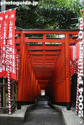 Inari Sando torii gates 稲荷参道
Keywords: tokyo chiyoda-ku hie jinja shrine torii