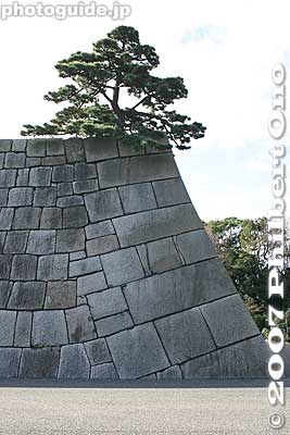 Corner of castle tower foundation.
Keywords: tokyo chiyoda-ku imperial palace kokyo edo castle