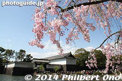 Keywords: tokyo chiyoda-ku imperial palace kokyo bridge moat sakura cherry blossoms