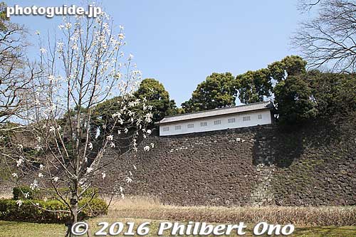Keywords: tokyo chiyoda-ku imperial palace inui-dori