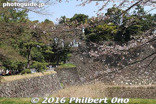Midway, there is a bridge to go to the garden area.
Keywords: tokyo chiyoda-ku imperial palace inui-dori sakura cherry blossoms