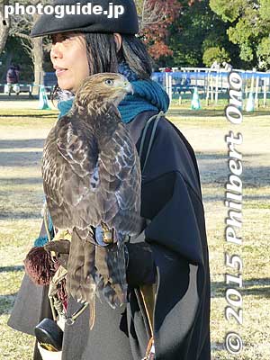 Keywords: tokyo chuo-ku hama-rikyu garden falconry birds