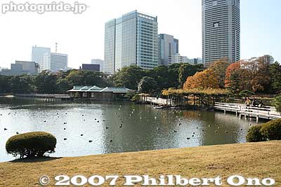 Shiori-no-Ike Pond
Keywords: tokyo chuo-ku hama-rikyu garden pine tree matsu pond