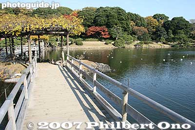 Otsutaibashi Bridge
Keywords: tokyo chuo-ku hama-rikyu garden pine tree matsu pond
