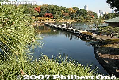 Keywords: tokyo chuo-ku hama-rikyu garden pine needles tree matsu pond