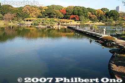 Keywords: tokyo chuo-ku hama-rikyu garden pine tree matsu pond