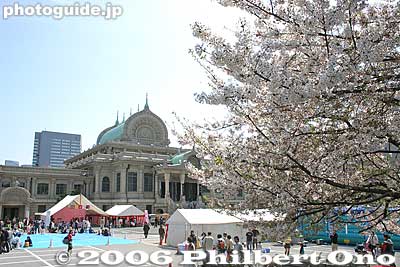 Cherry blossoms and the temple
Keywords: tokyo tsukiji honganji buddhist temple jodo shinshu hanamatsuri