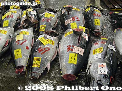 All the fish are labeled. They might indicate where the fish was caught (or raised).
Keywords: tokyo chuo-ku tsukiji fish market Metropolitan Central Wholesale Market tuna