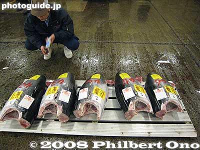 Headless tuna carcasses
Keywords: tokyo chuo-ku tsukiji fish market Metropolitan Central Wholesale Market tuna