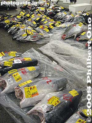 Keywords: tokyo chuo-ku tsukiji fish market Metropolitan Central Wholesale Market tuna
